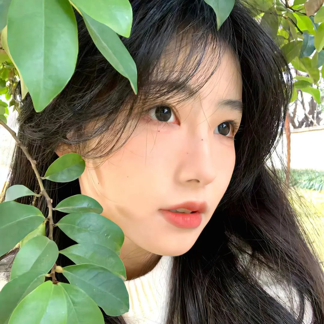 巾帼枭雄 在线观看